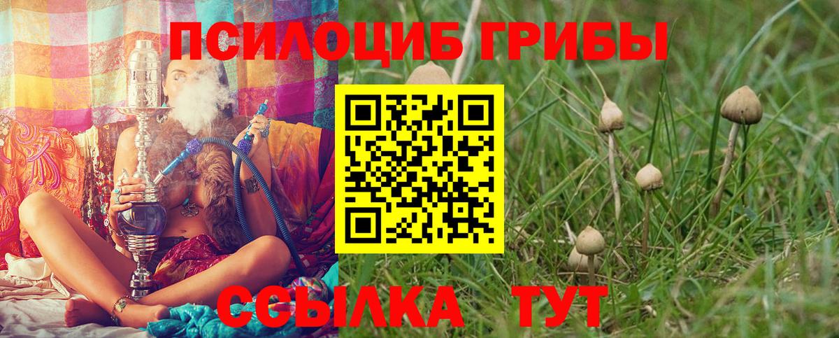Псилоцибиновые грибы GOLDEN TEACHER  Вход с VPN  Светлоград 