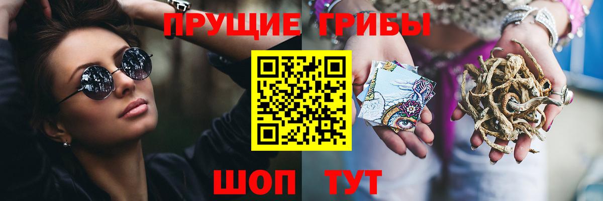 Галлюциногенные грибы мицелий Светлоград